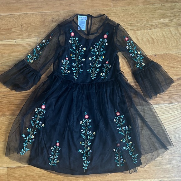 Other - GORGEOUS NEW net embroidered dress